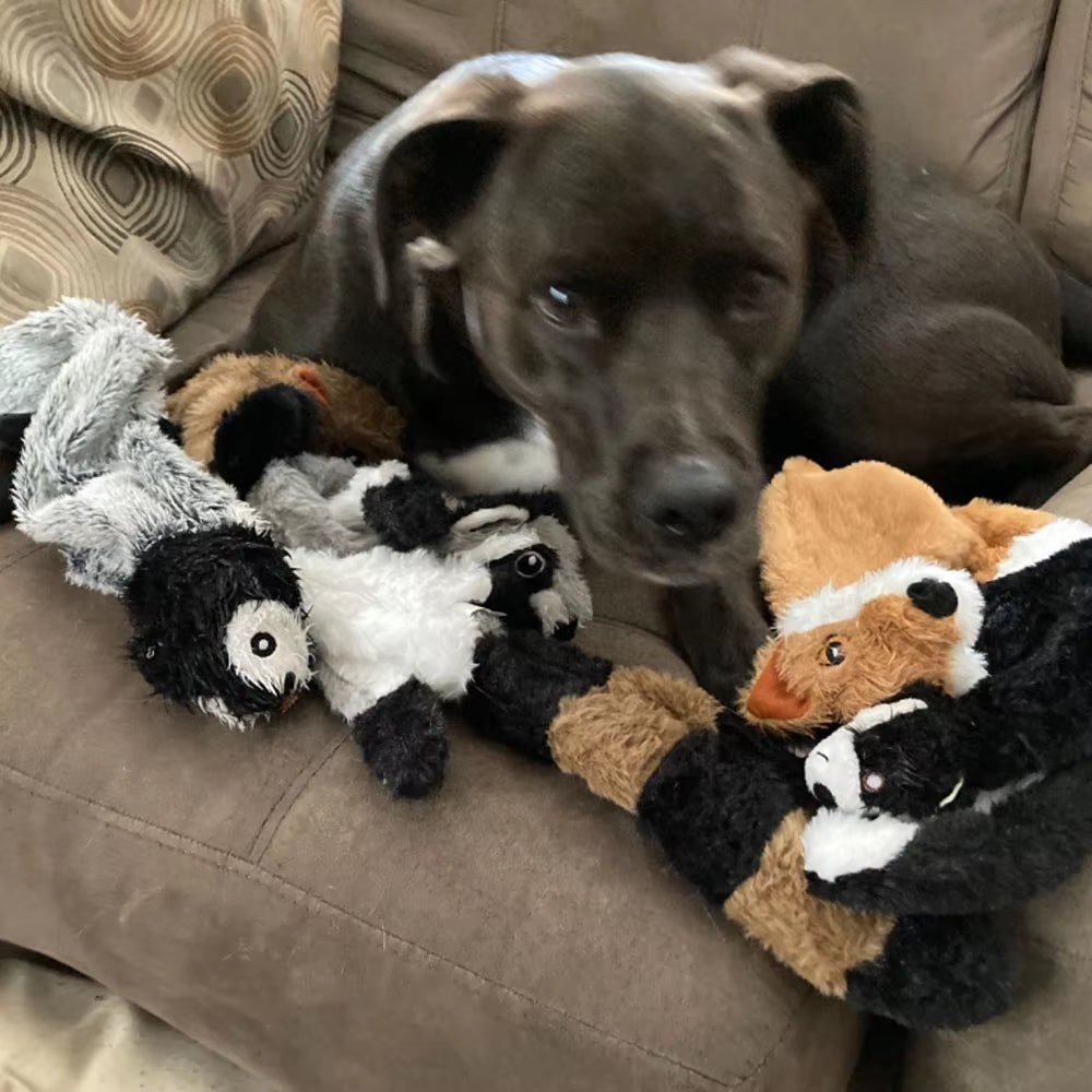 No-Stuffing Squeaky Plush Dog Toy