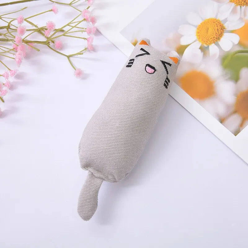 Catnip Plush Pillow Cat Chew Toy