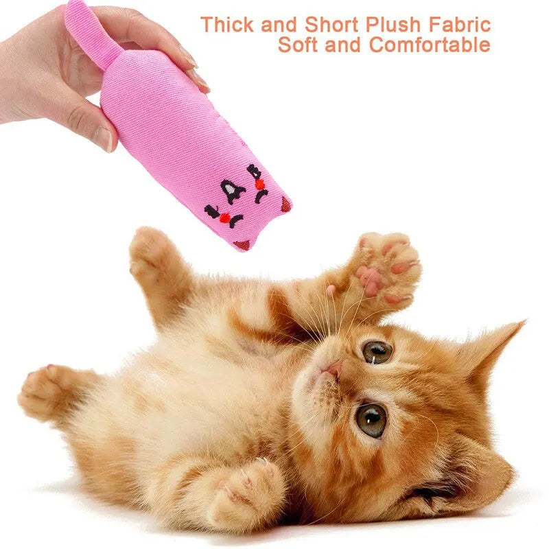 Catnip Plush Pillow Cat Chew Toy